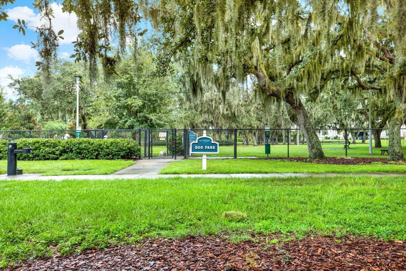 12813 WILDFLOWER MEADOW DR — photo 59