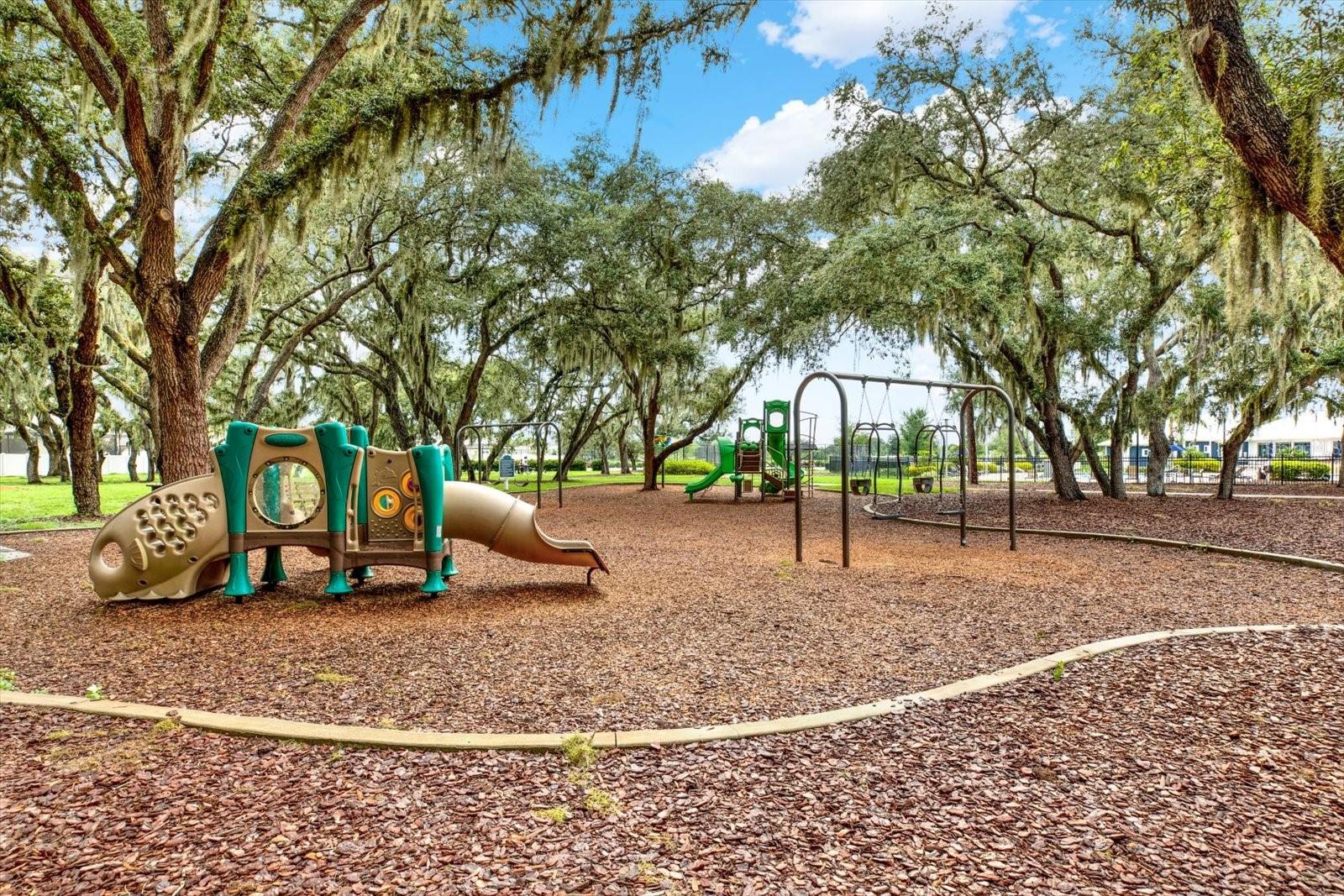 12813 WILDFLOWER MEADOW DR — photo 58