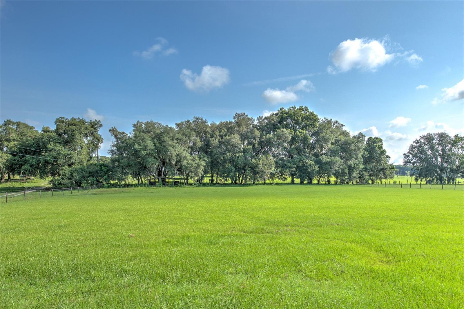 16520 SPRING VALLEY RD — photo 30