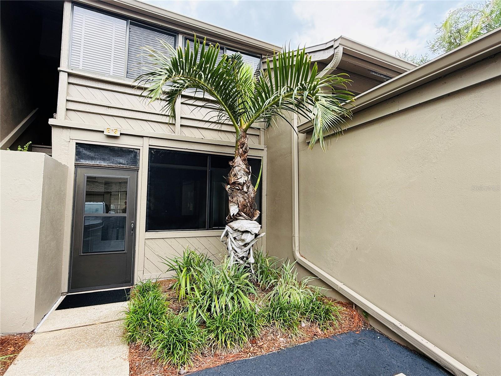 1111 N BAYSHORE BLVD #E3 — photo 2