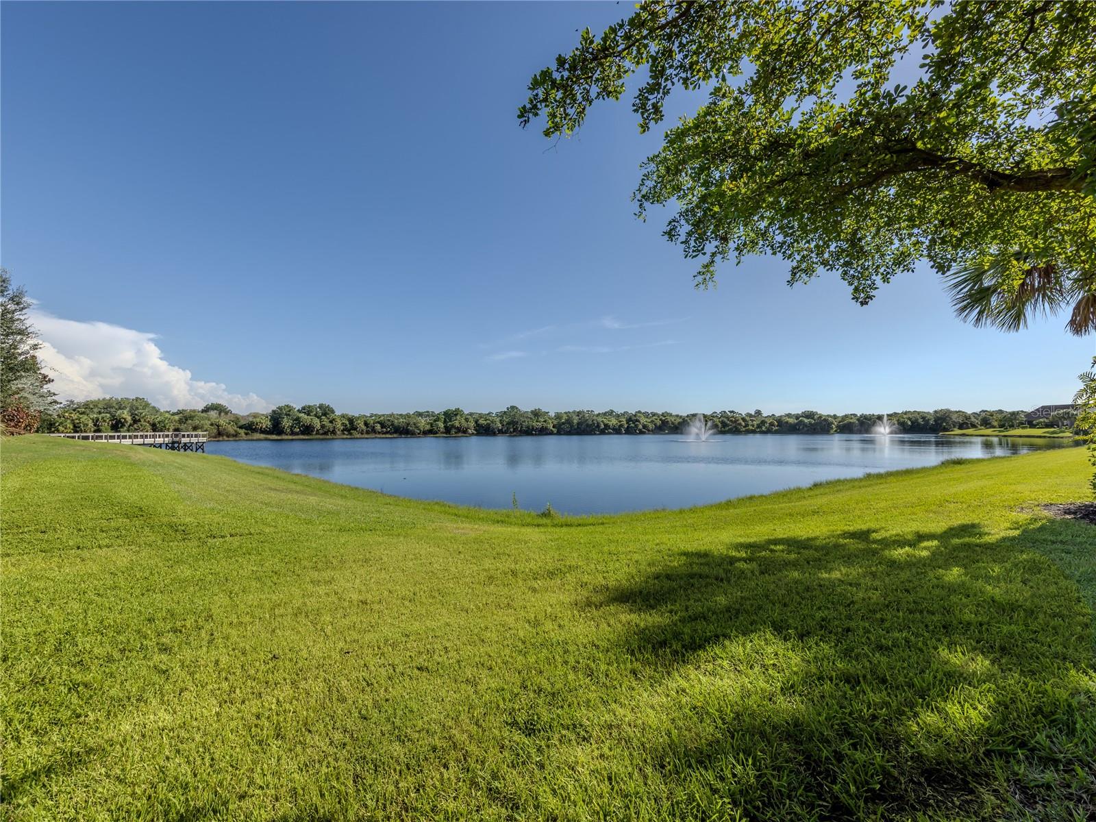 12300 MARSH POINTE RD — photo 45