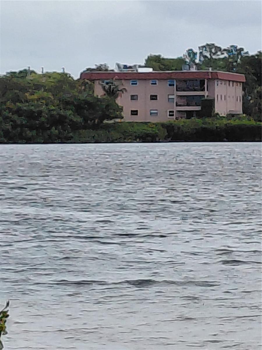 Home in TARPON SPRINGS — photo 3