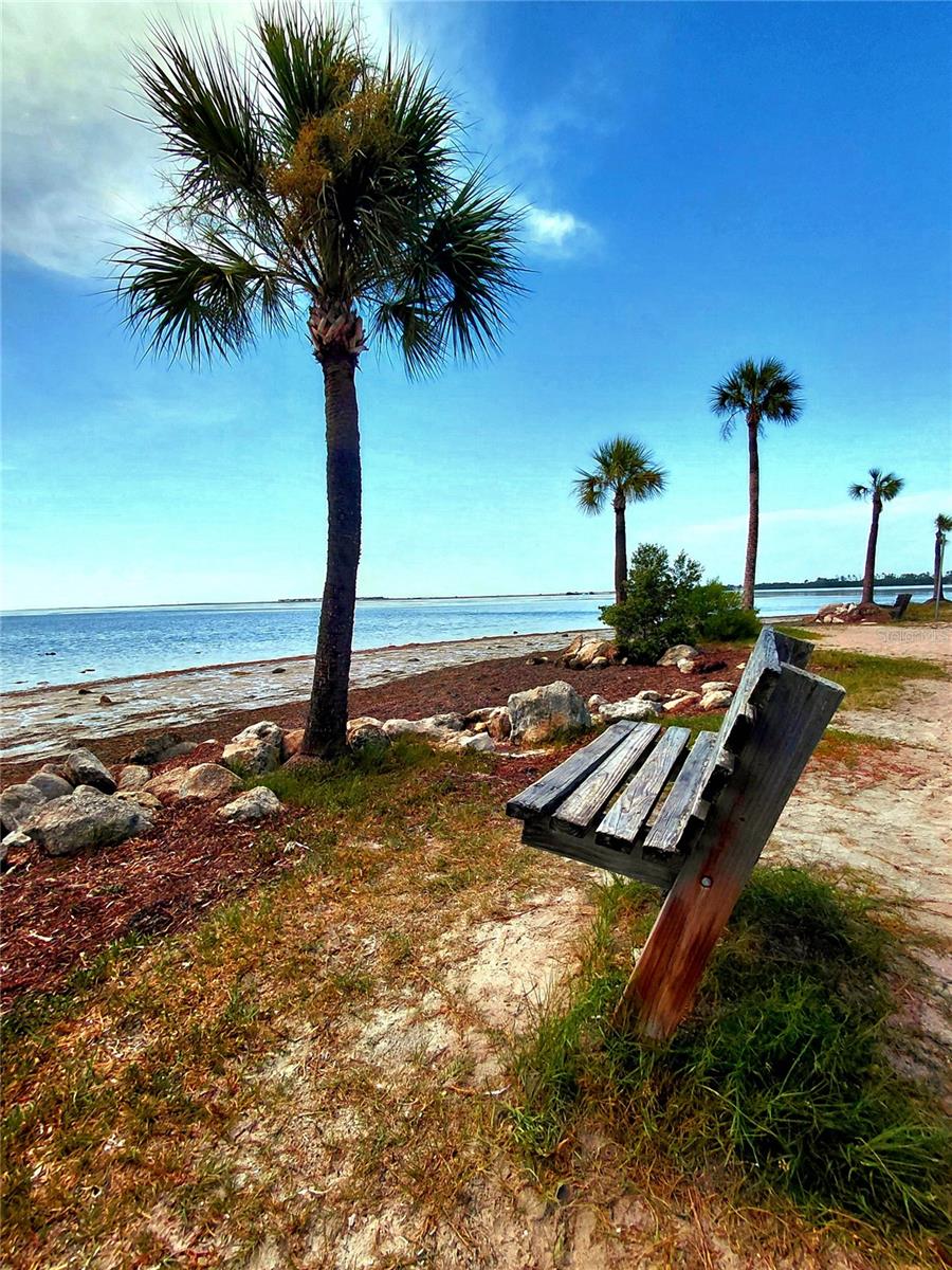 Home in TARPON SPRINGS — photo 8
