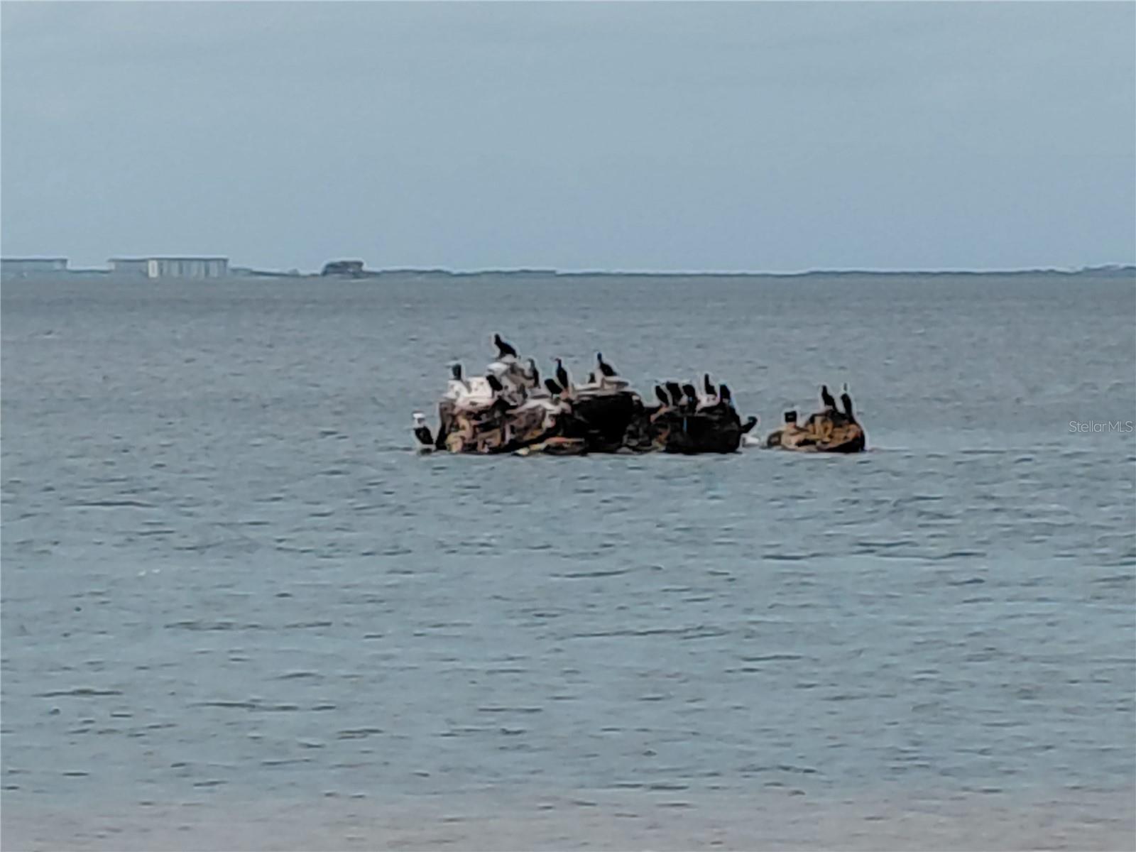 Home in TARPON SPRINGS — photo 12
