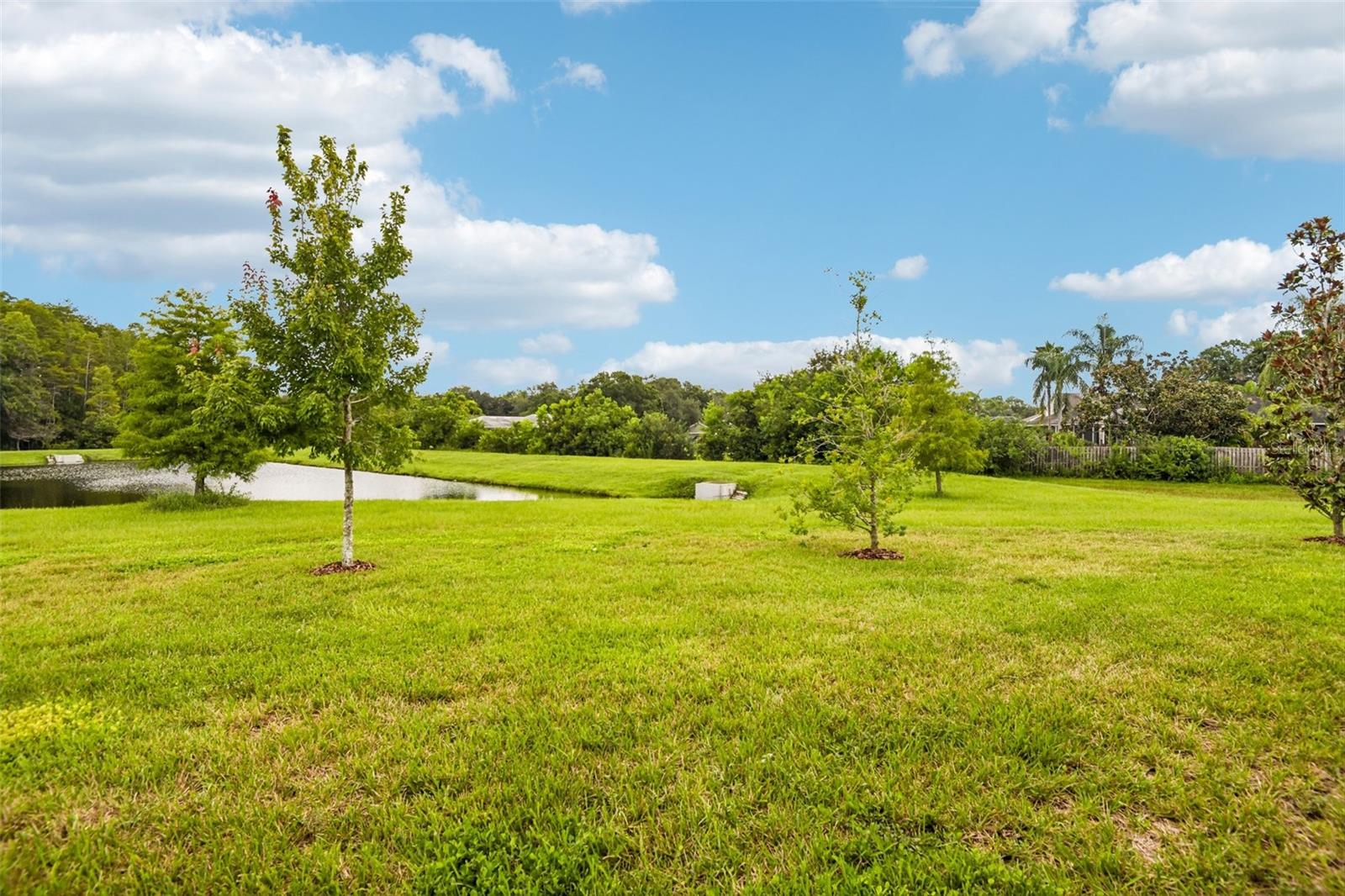 7510 ASHBROOKE PINE LOOP — photo 36