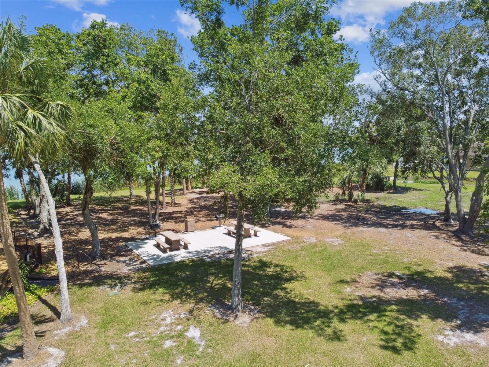 10113 CANNON DR — photo 53