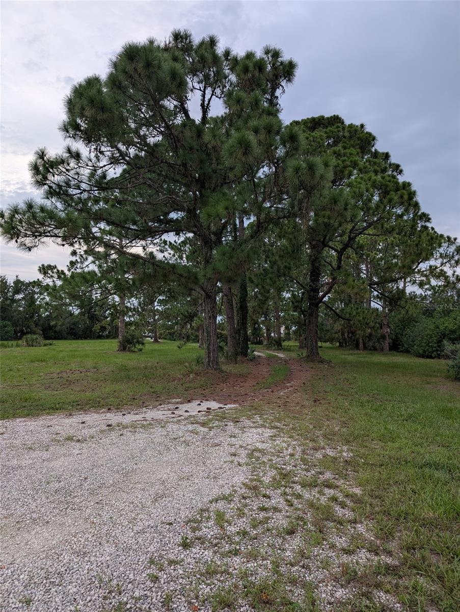 105 JACARANDA BLVD — photo 73