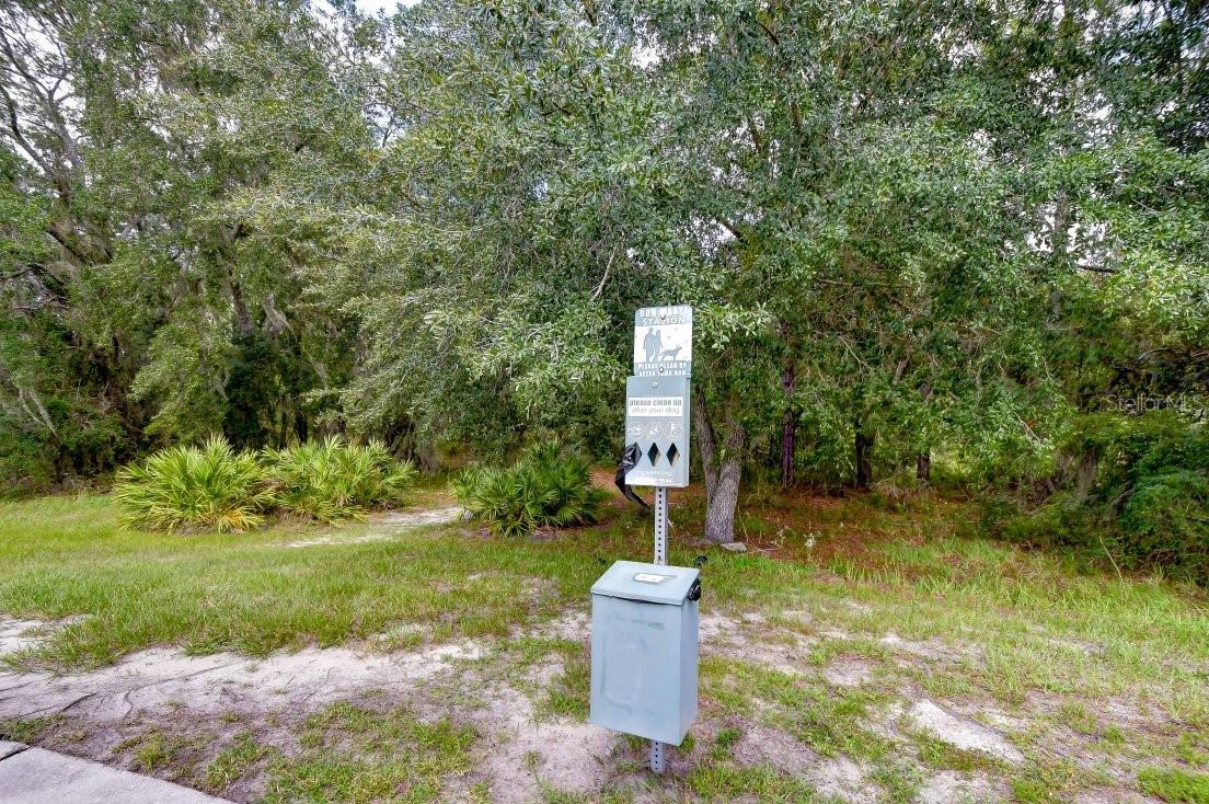 8551 TRAIL WIND DR — photo 41