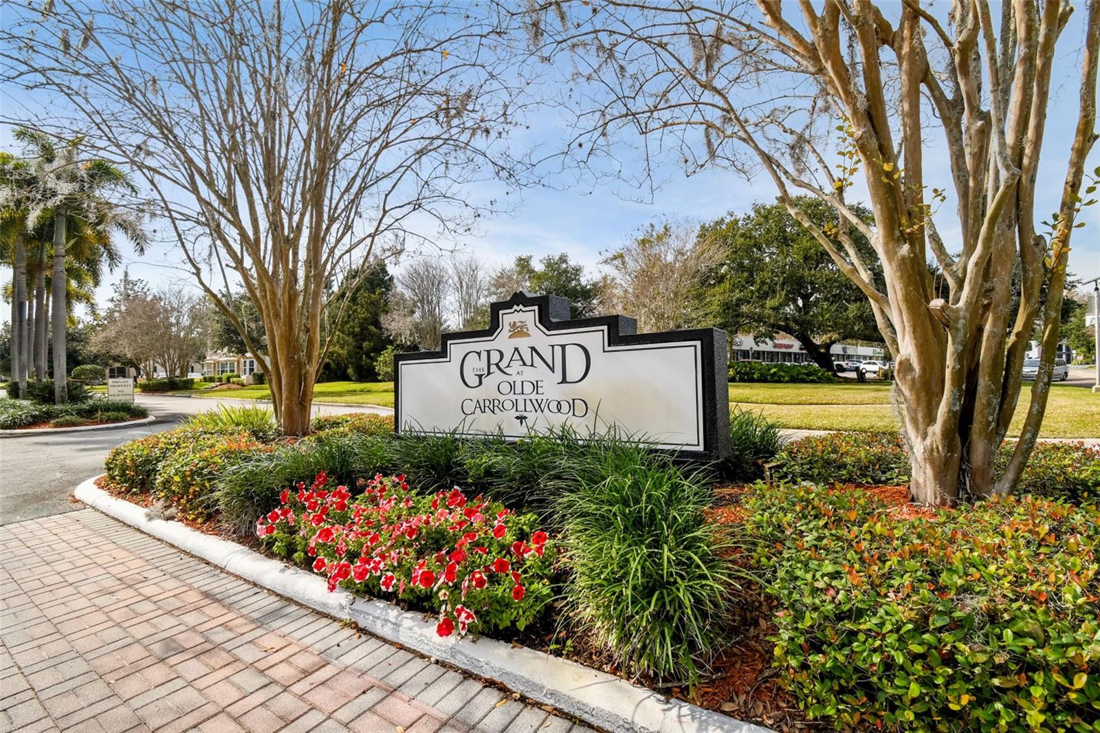 10387 CARROLLWOOD LN #303 — photo 45