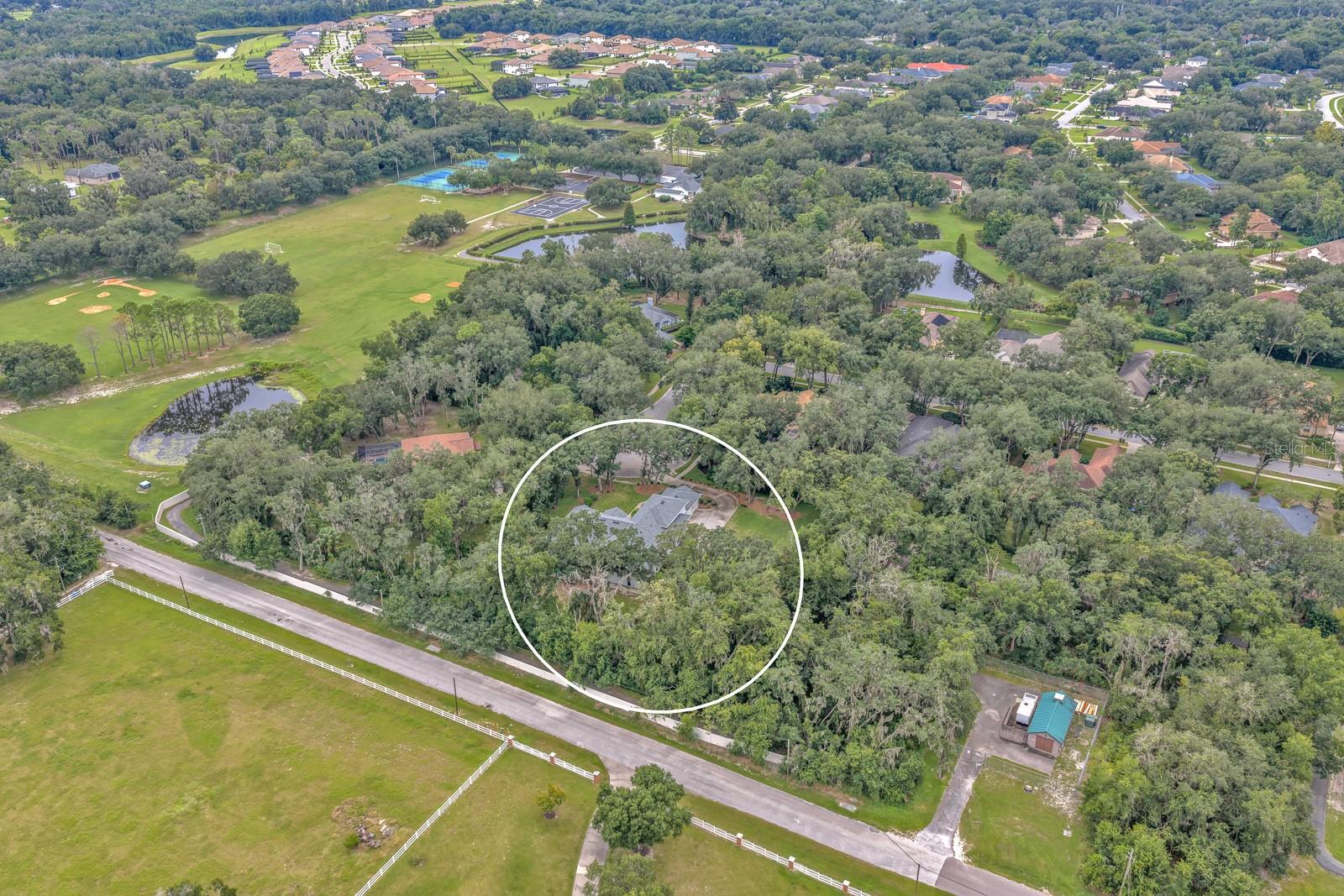 6034 HAMMOCK HILL AVE — photo 59