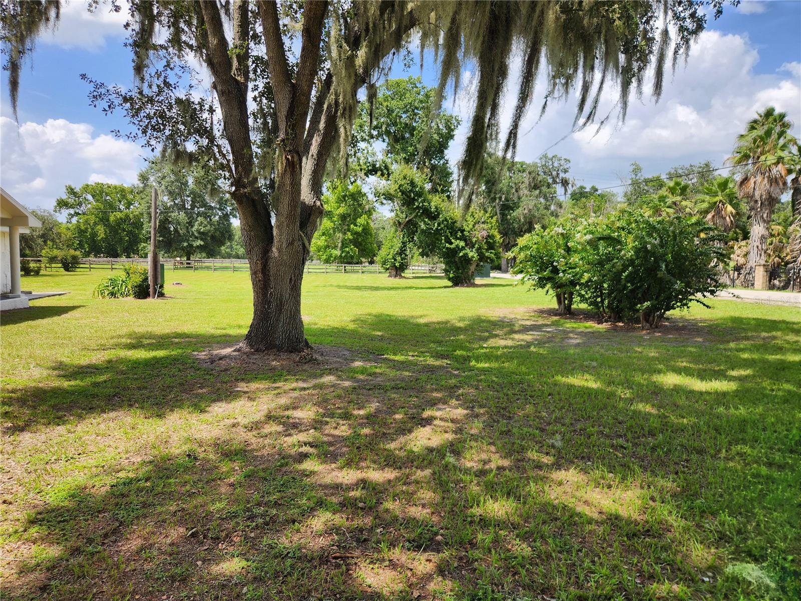 3903 POWERLINE RD — photo 4