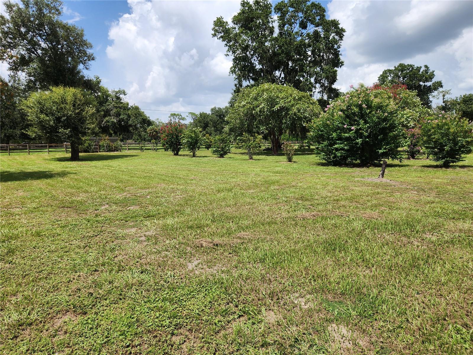 3903 POWERLINE RD — photo 2