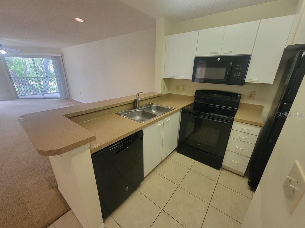10024 STRAFFORD OAK CT #813 — photo 6