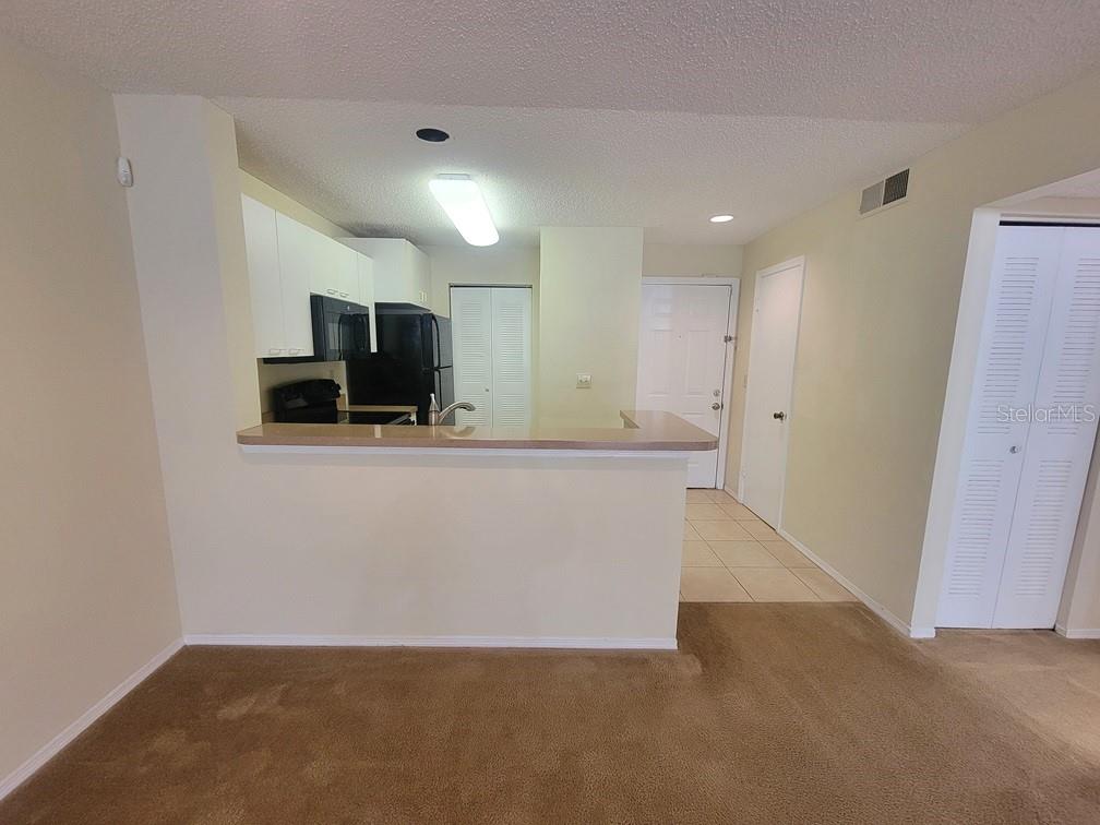 10024 STRAFFORD OAK CT #813 — photo 7