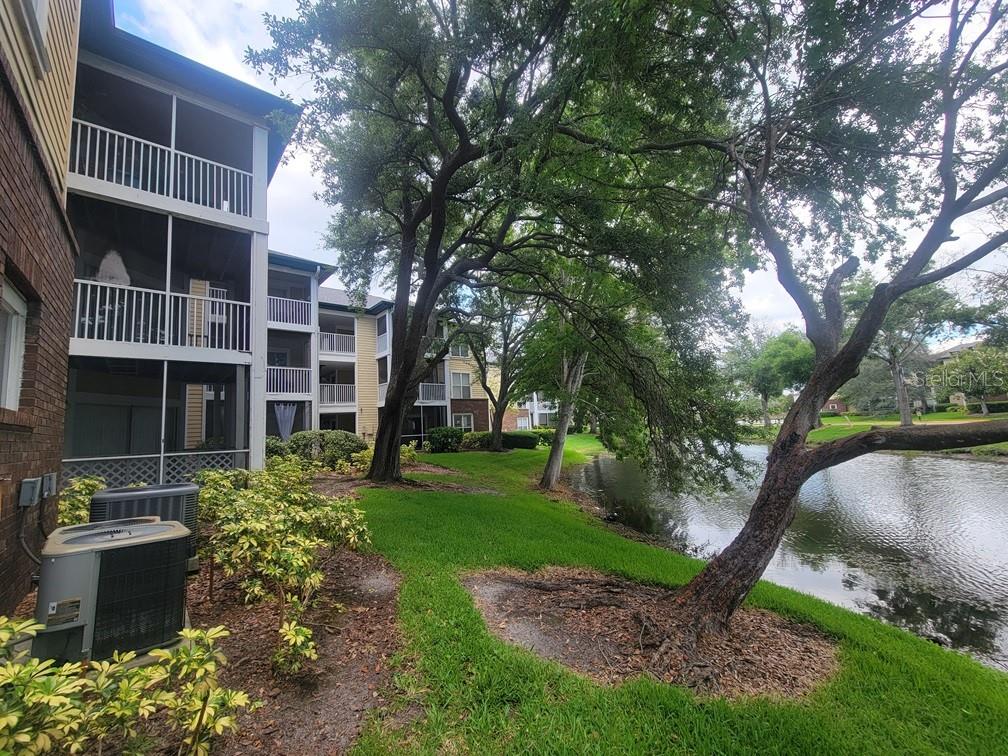 10024 STRAFFORD OAK CT #813 — photo 2
