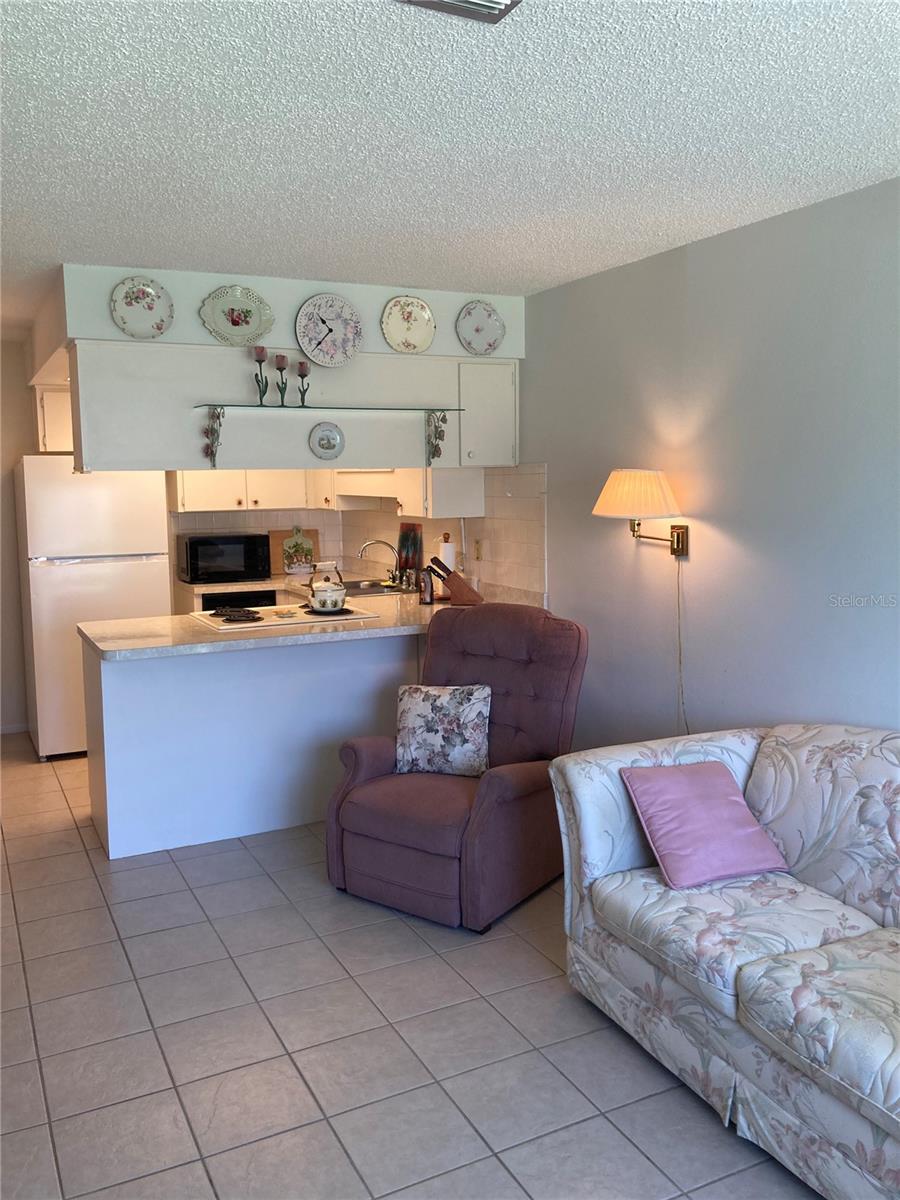 4313 TAHITIAN GARDENS CIRCLE CIR #B — photo 6
