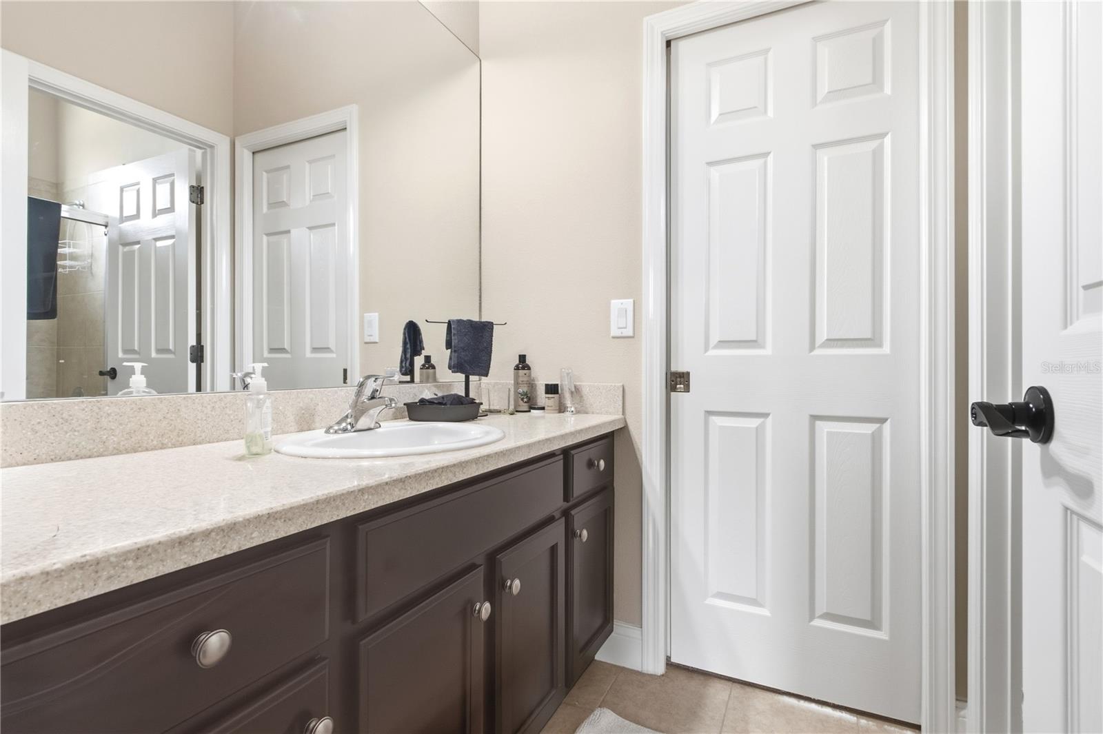 3431 DIAMOND FALLS CIR — photo 41