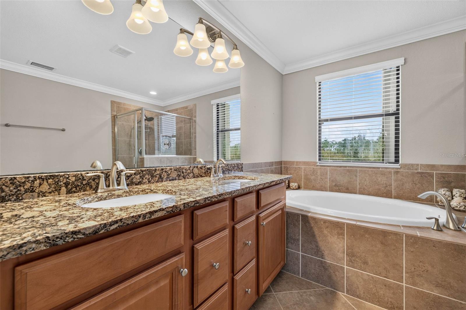 20630 GRANLAGO DR — photo 19