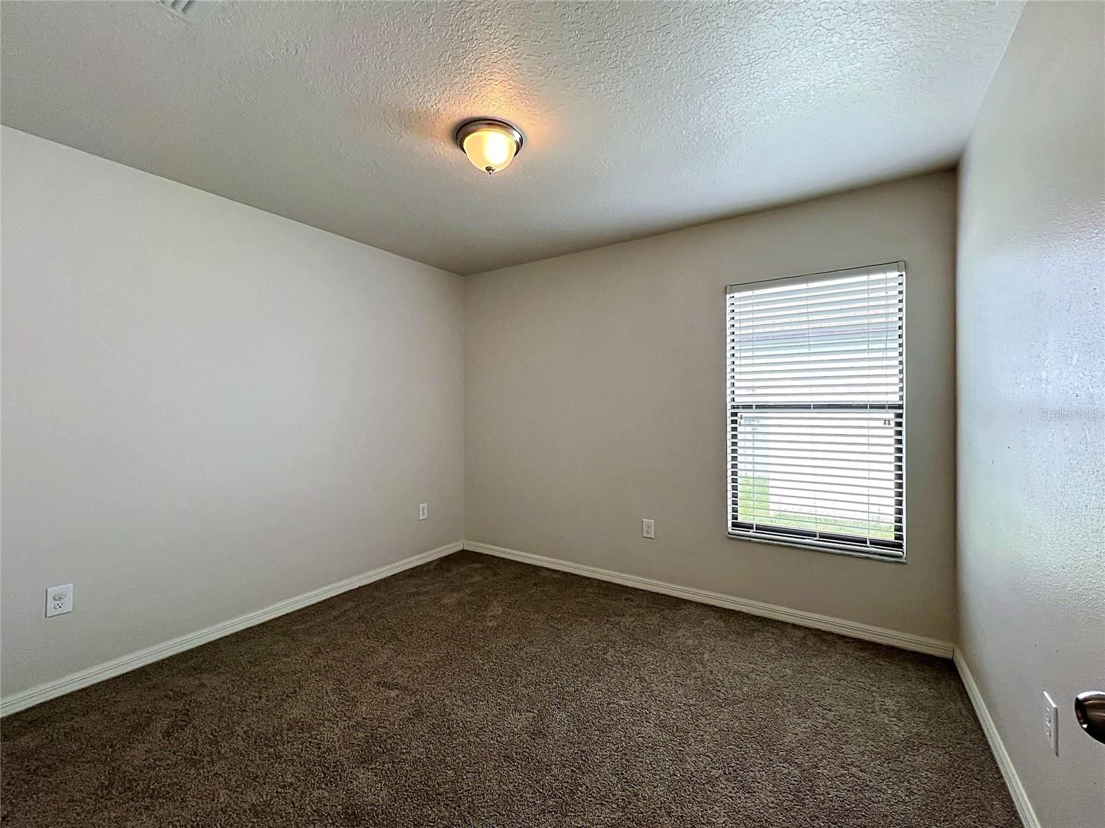 36095 CARRIAGE PINE CT — photo 23