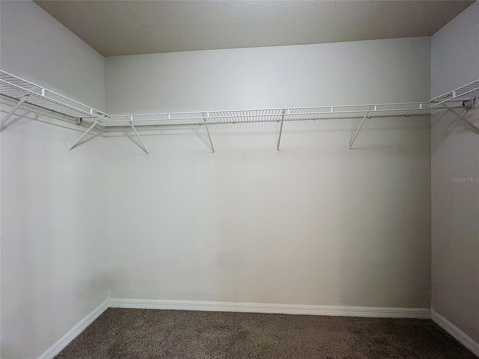 36095 CARRIAGE PINE CT — photo 19