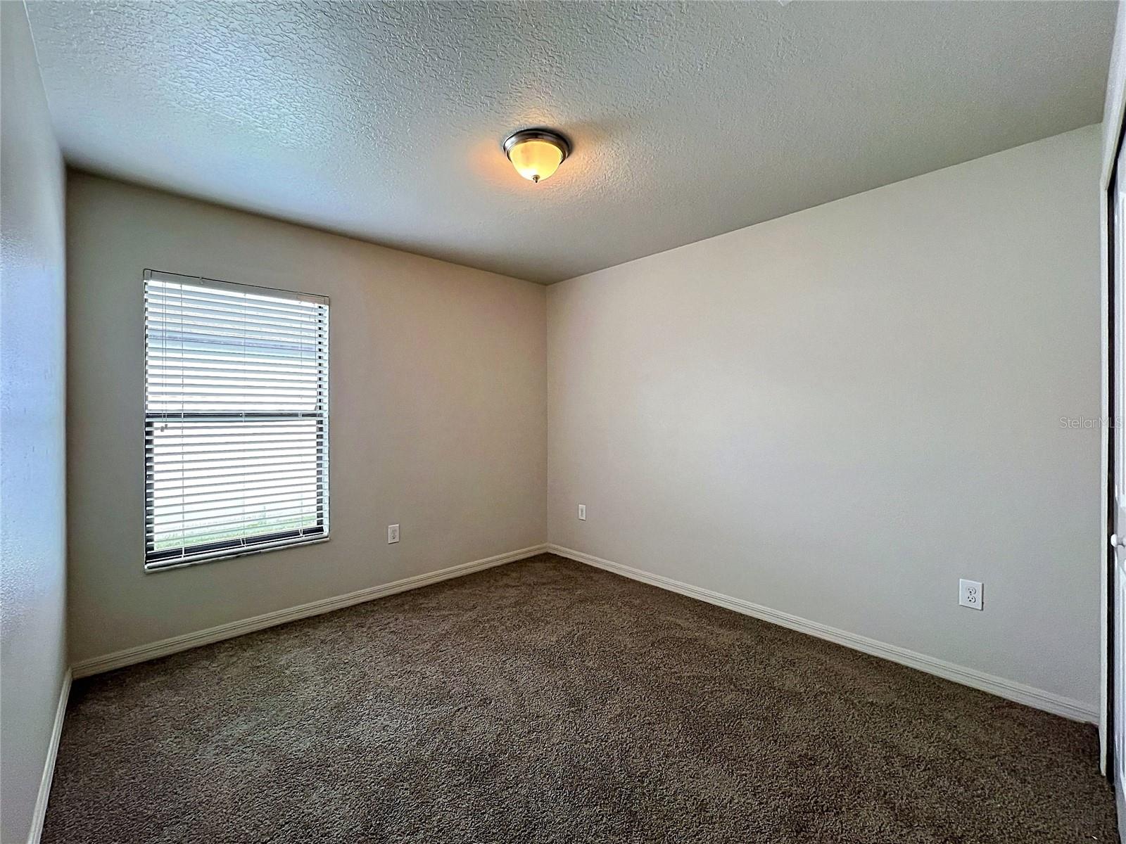 36095 CARRIAGE PINE CT — photo 21
