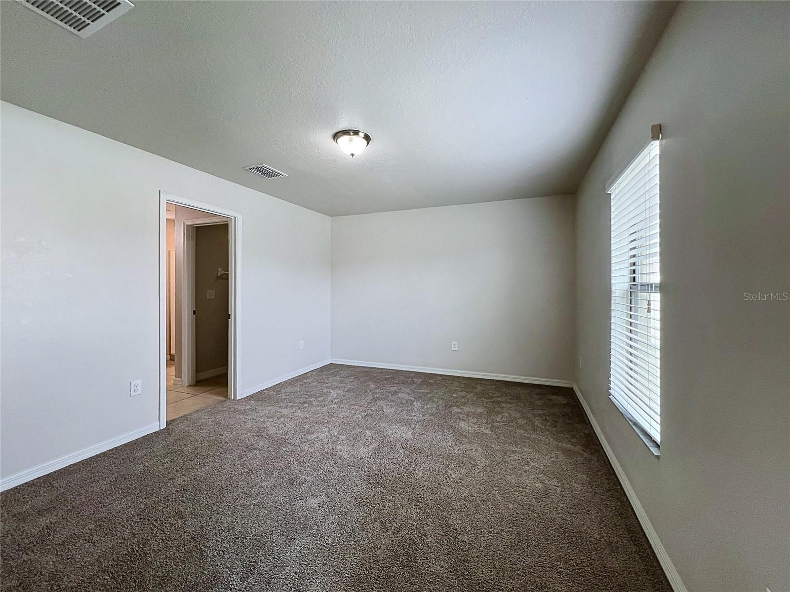 36095 CARRIAGE PINE CT — photo 15