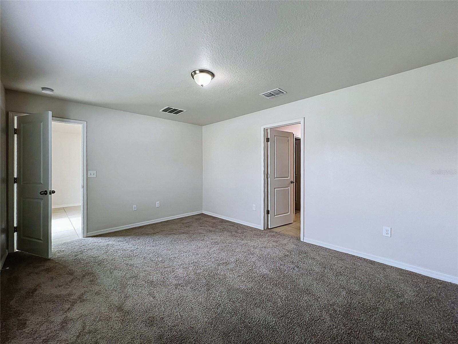 36095 CARRIAGE PINE CT — photo 16