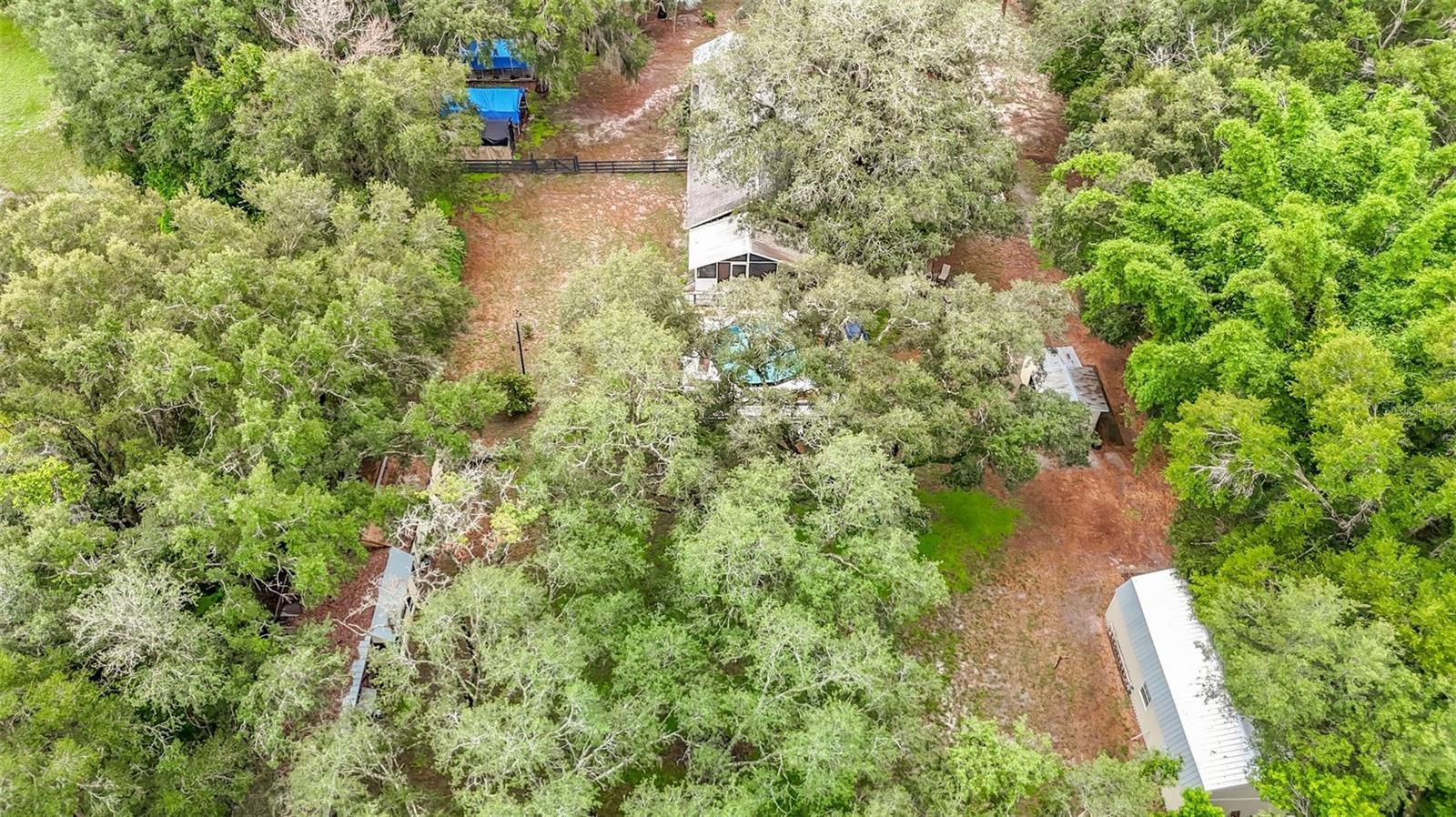11705 MARY LOU DR — photo 88