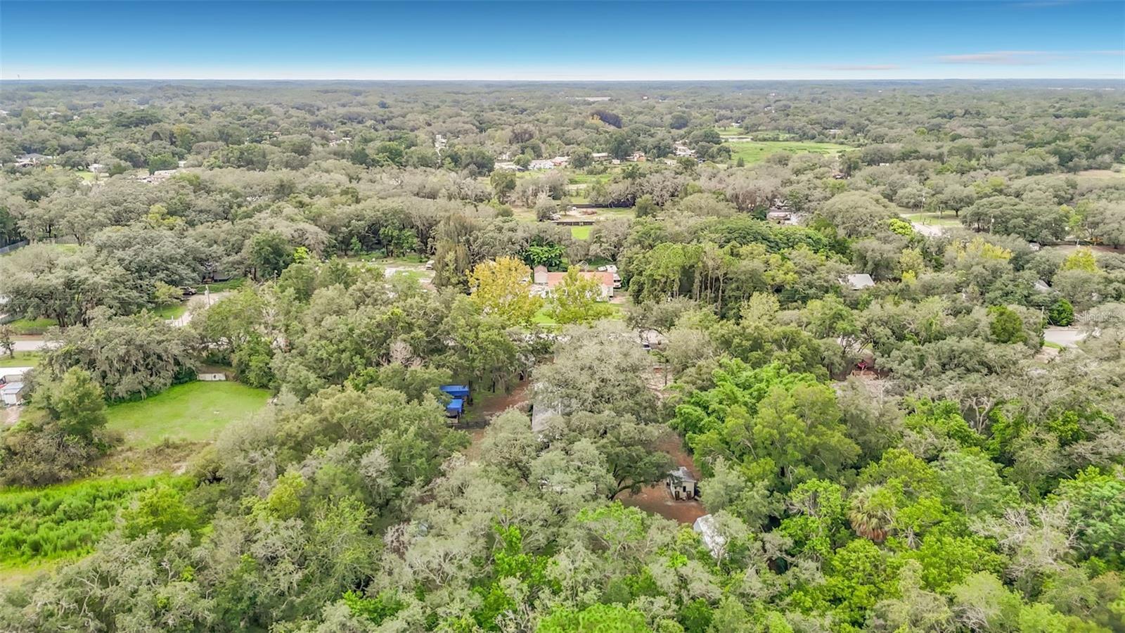 11705 MARY LOU DR — photo 91