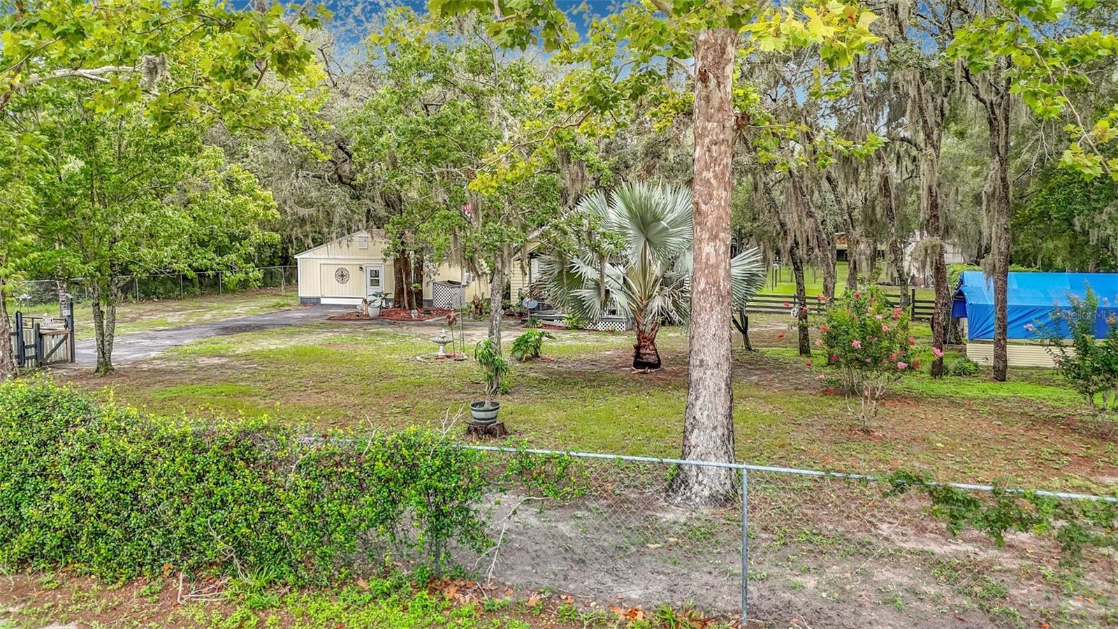 11705 MARY LOU DR — photo 2