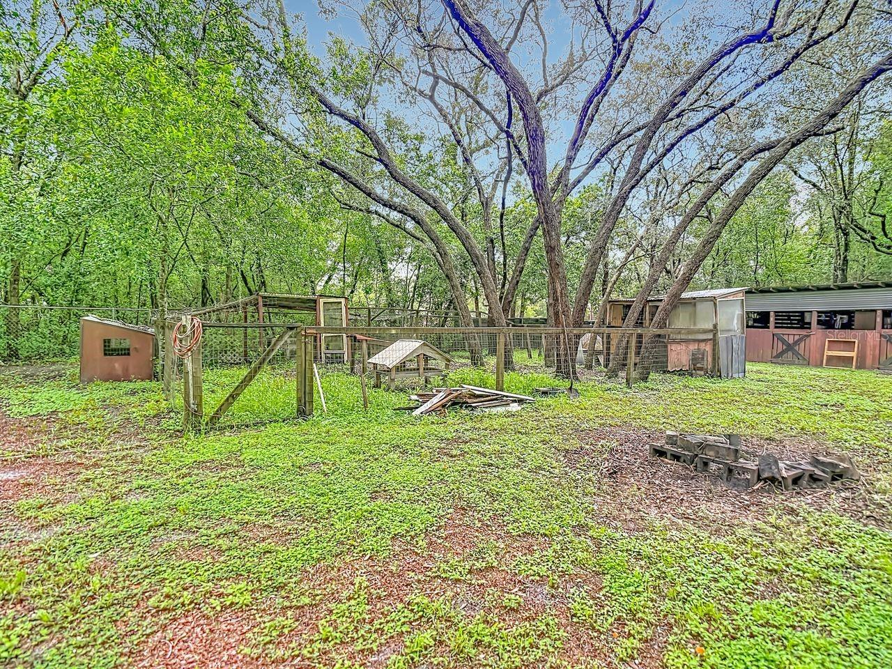 11705 MARY LOU DR — photo 81