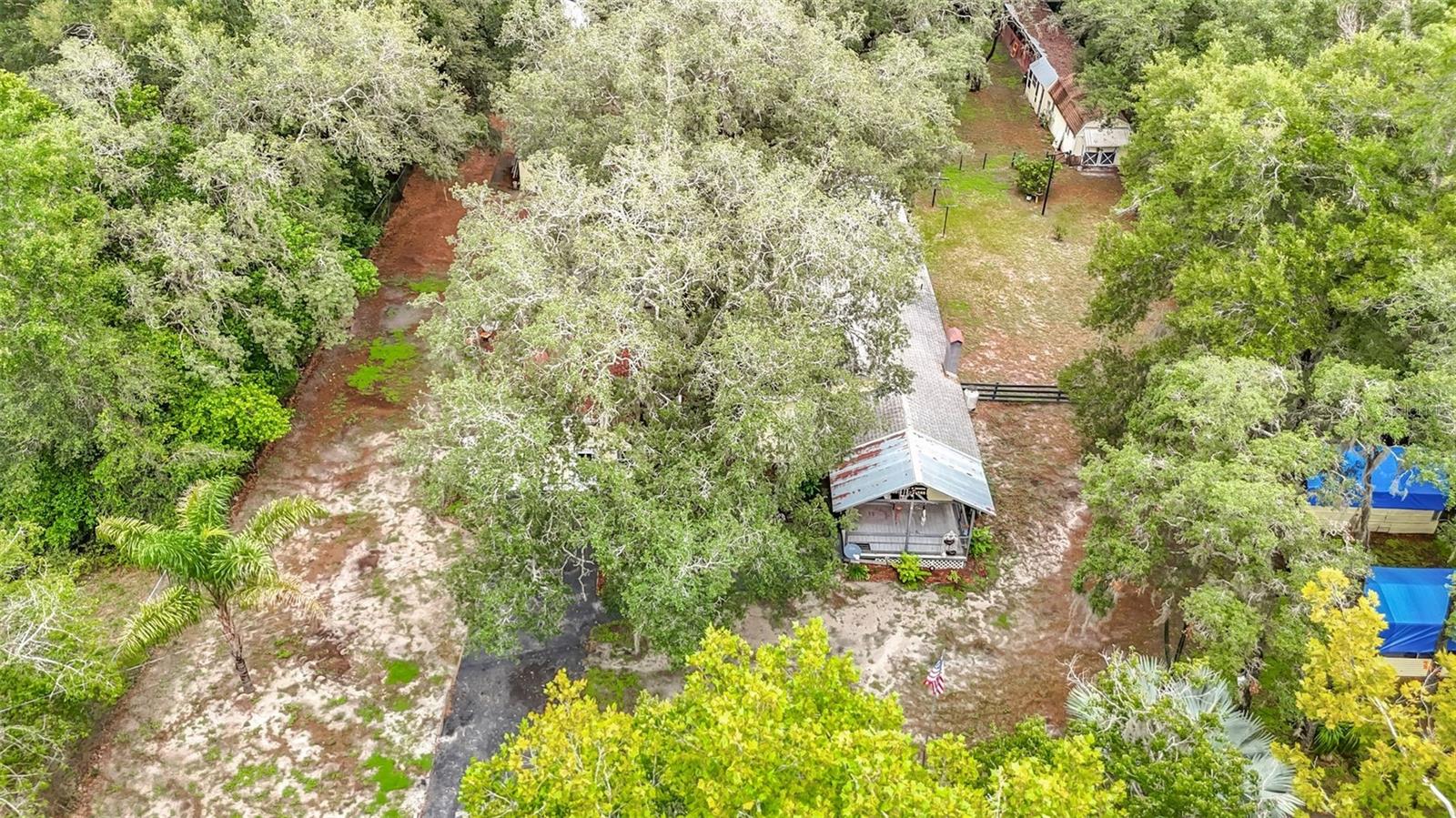 11705 MARY LOU DR — photo 10