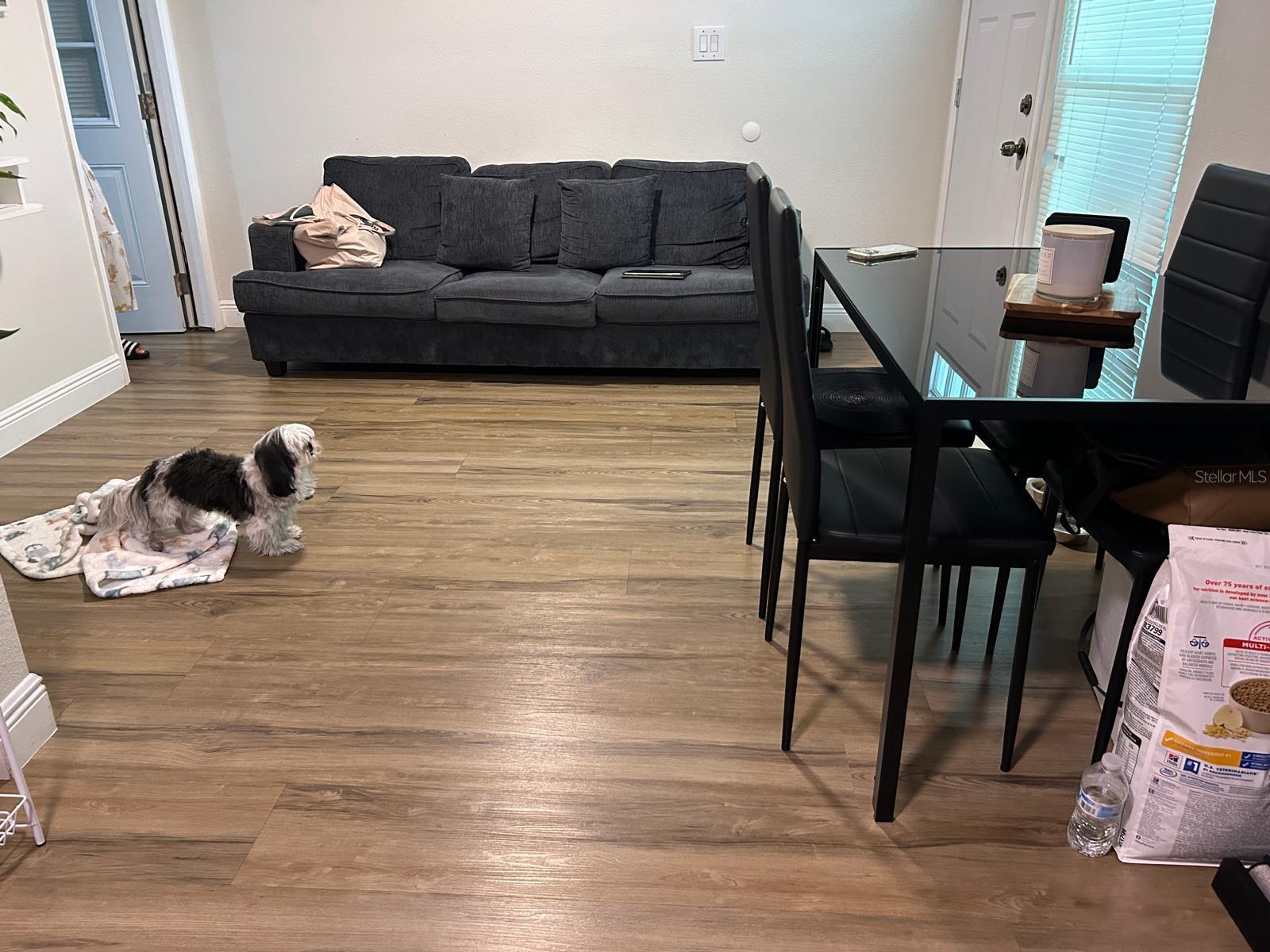 6503 DOVEWOOD PL — photo 39