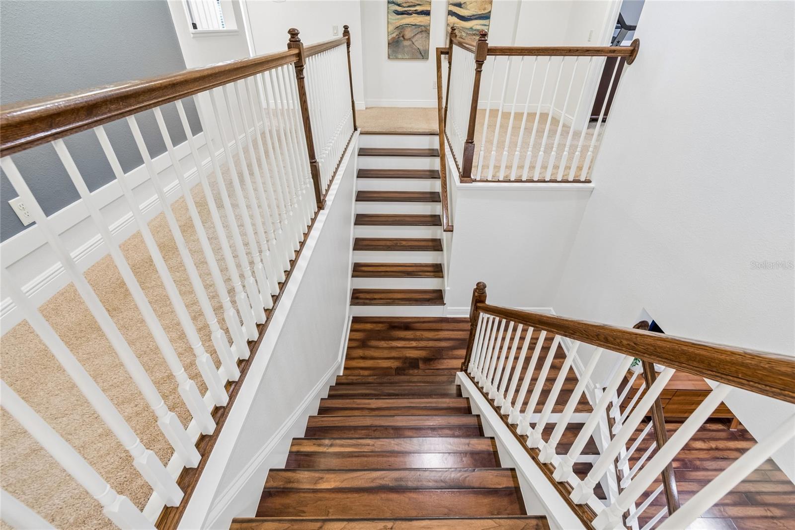 1657 FEATHER GRASS LOOP — photo 47