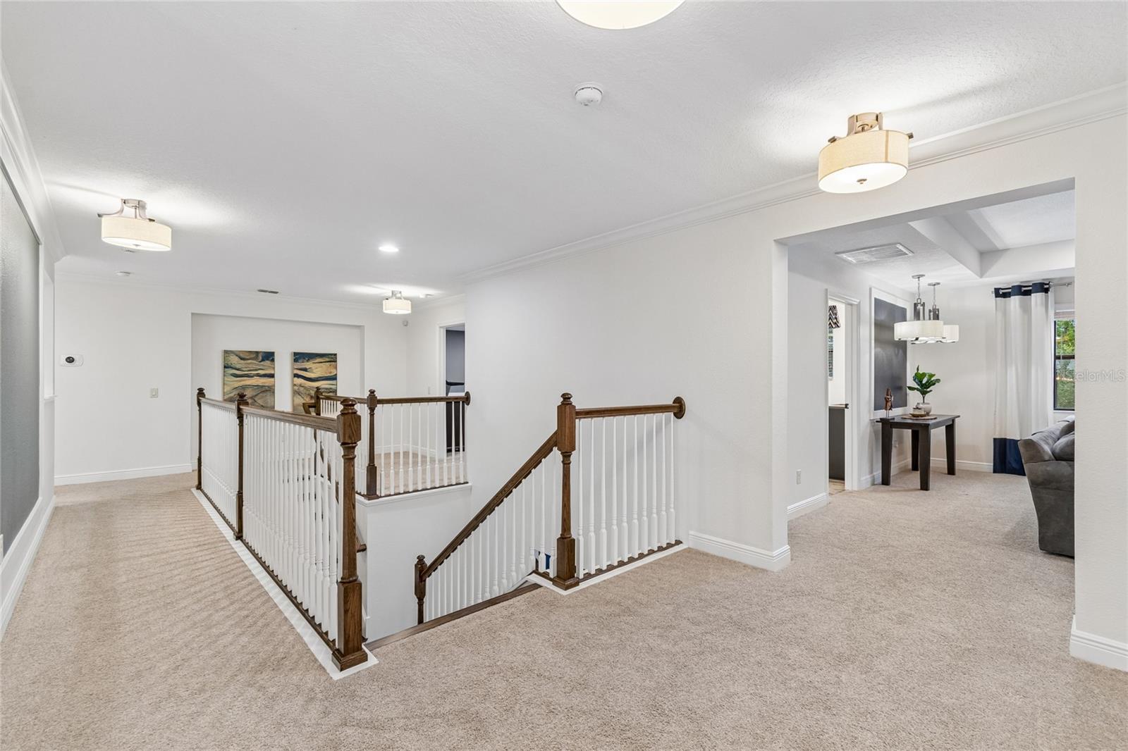 1657 FEATHER GRASS LOOP — photo 49