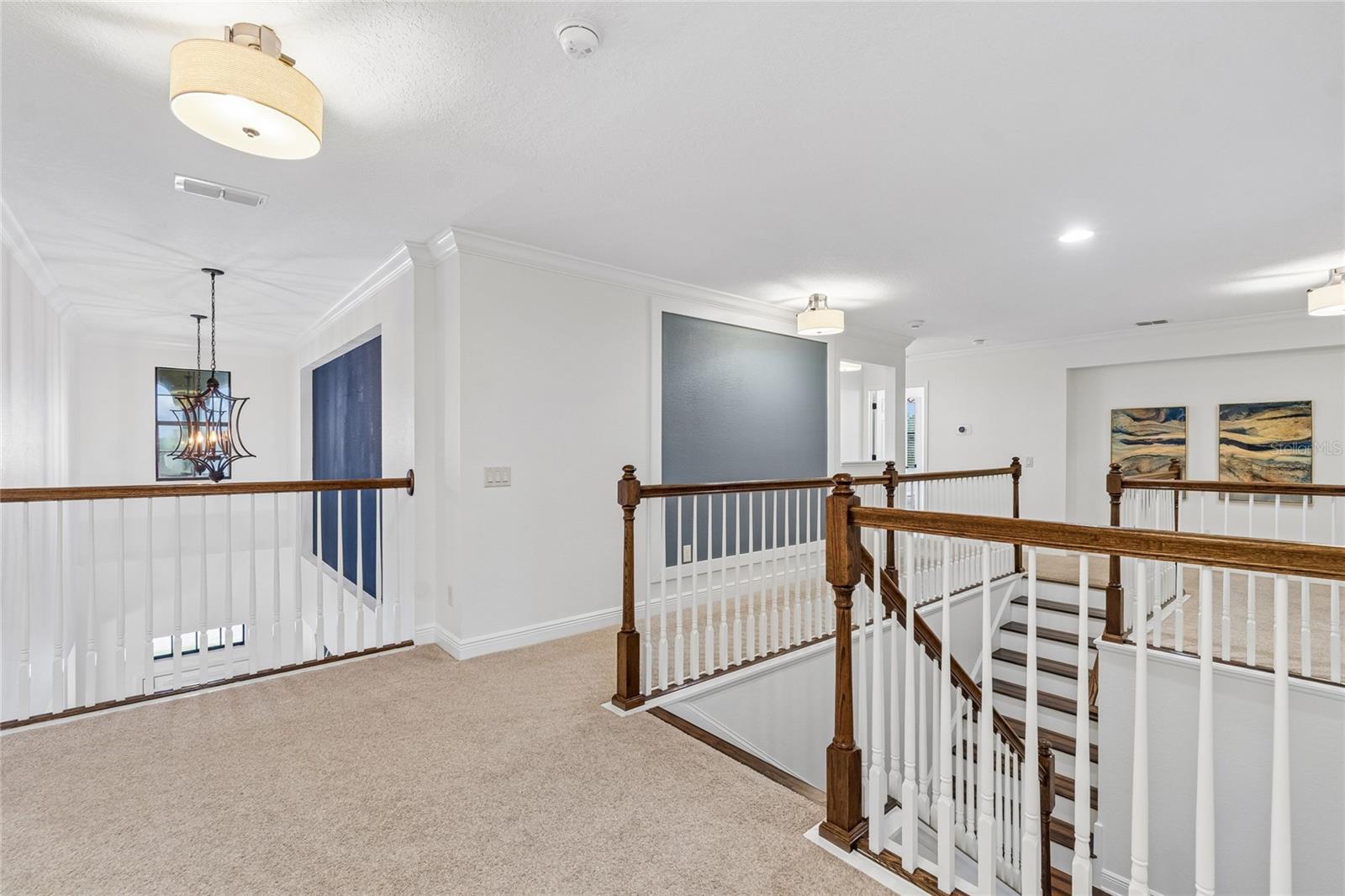 1657 FEATHER GRASS LOOP — photo 48