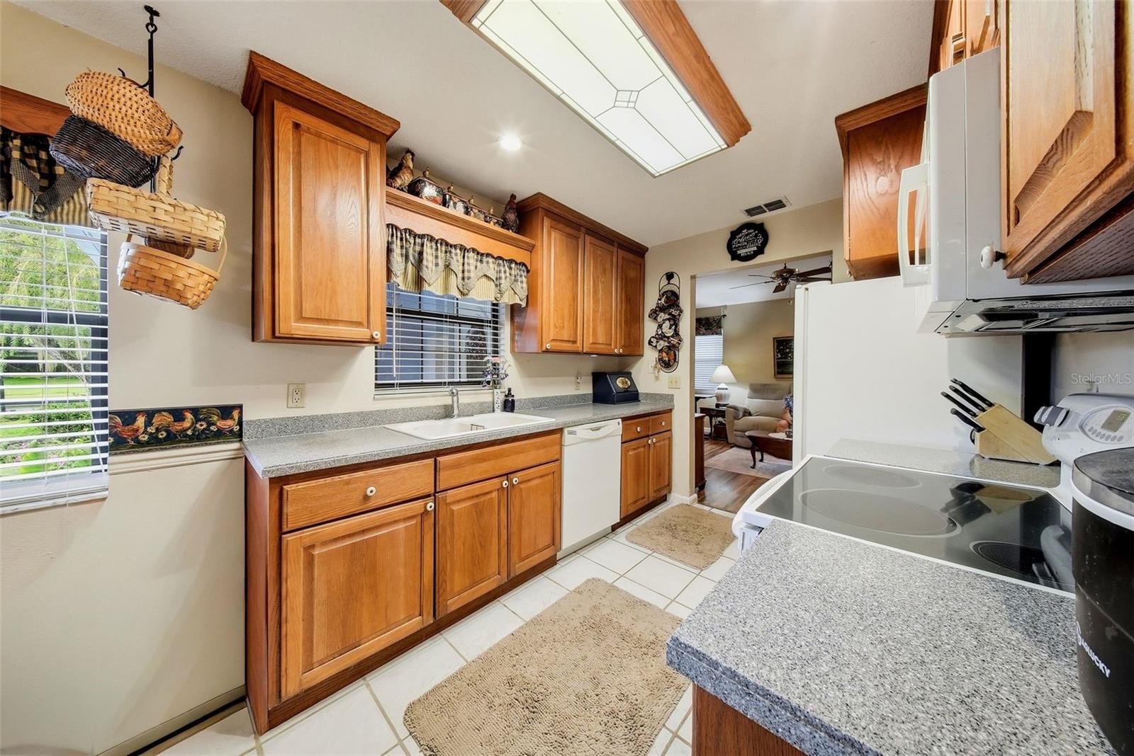 38648 FERM CIR — photo 11