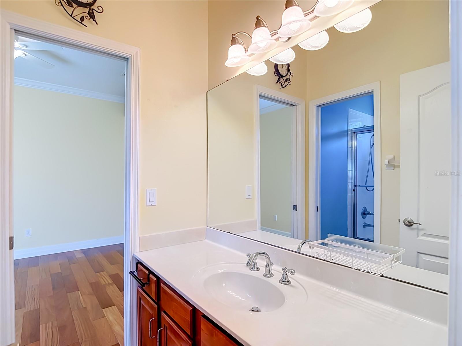 16215 IVY LAKE DR — photo 48
