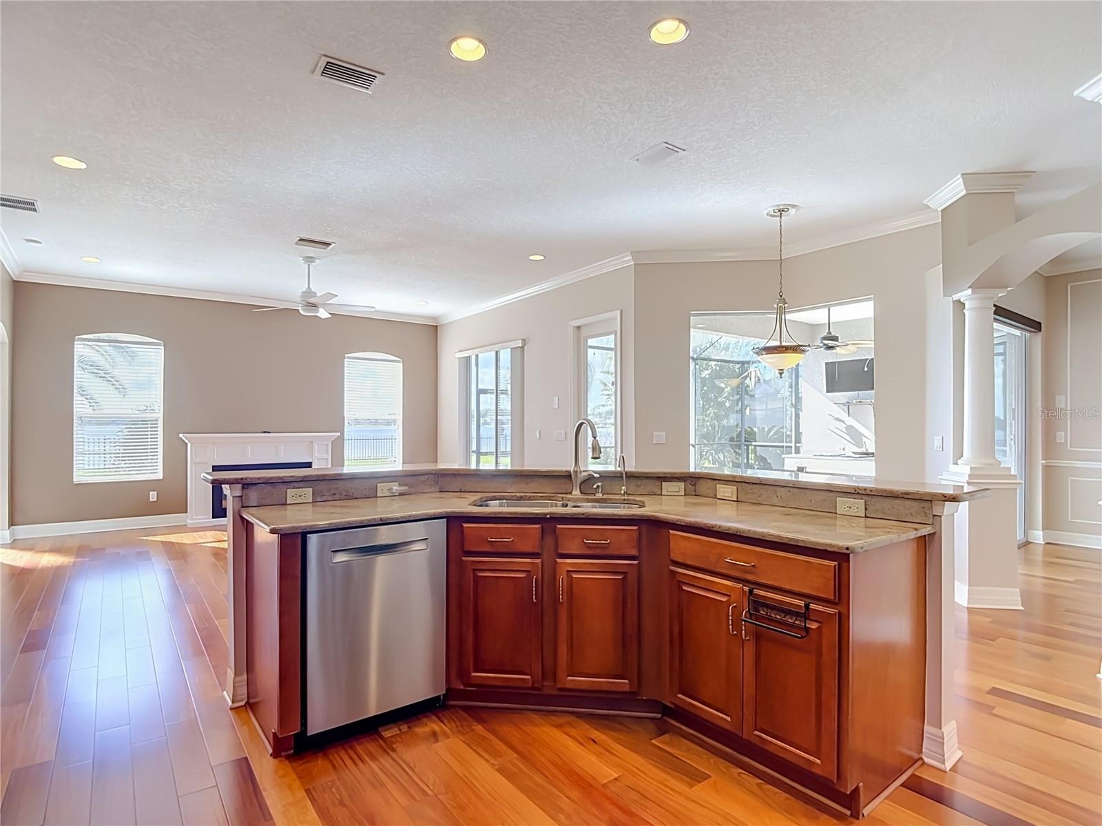 16215 IVY LAKE DR — photo 16