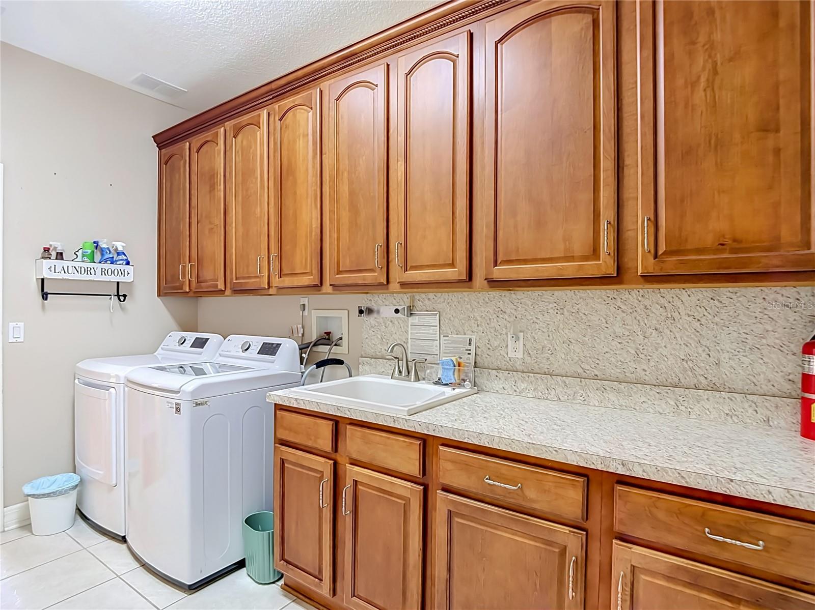16215 IVY LAKE DR — photo 41