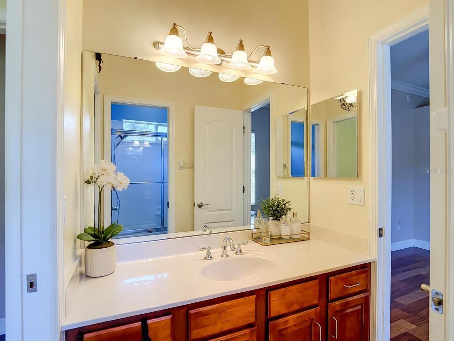 16215 IVY LAKE DR — photo 43