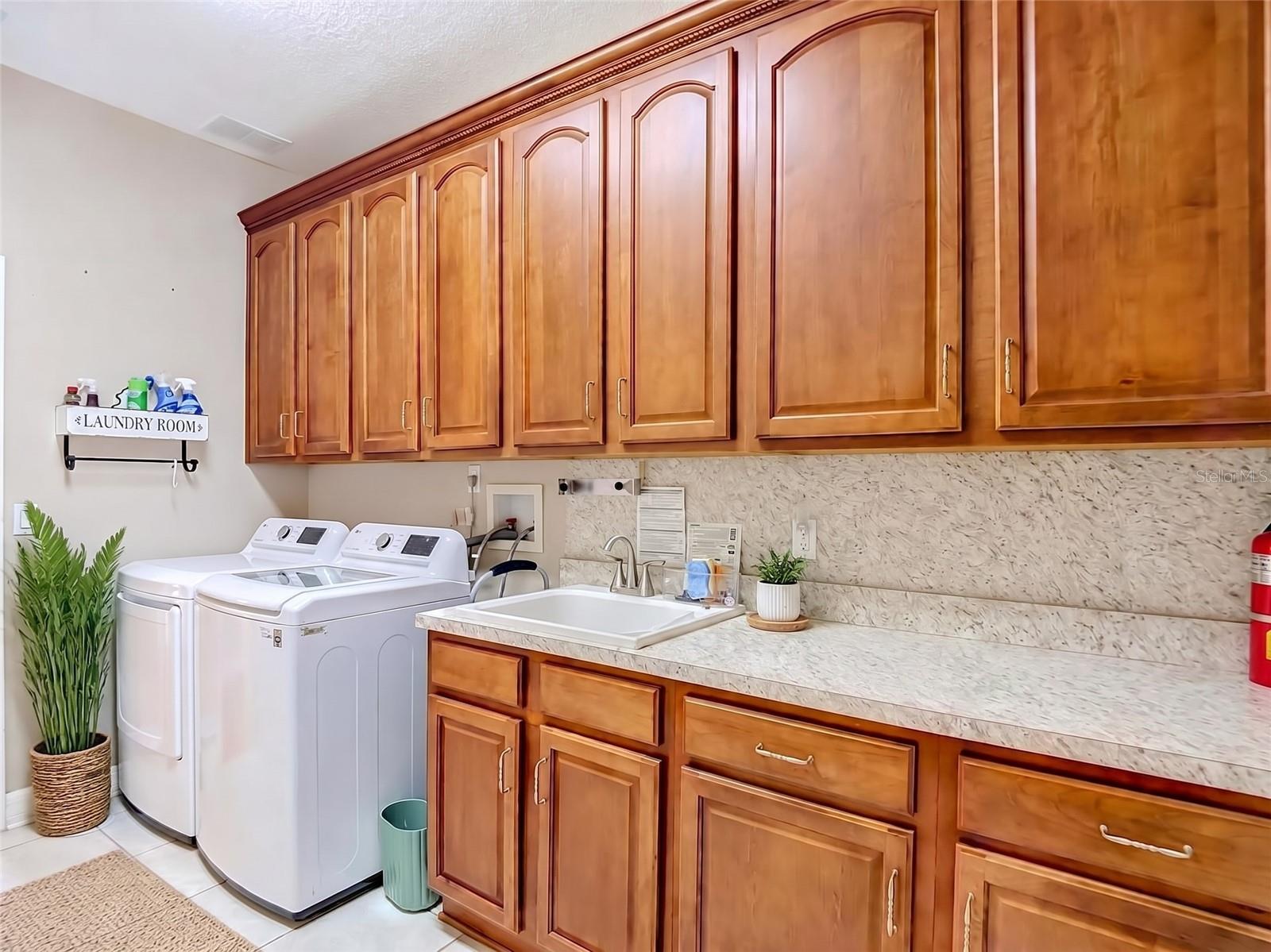 16215 IVY LAKE DR — photo 42