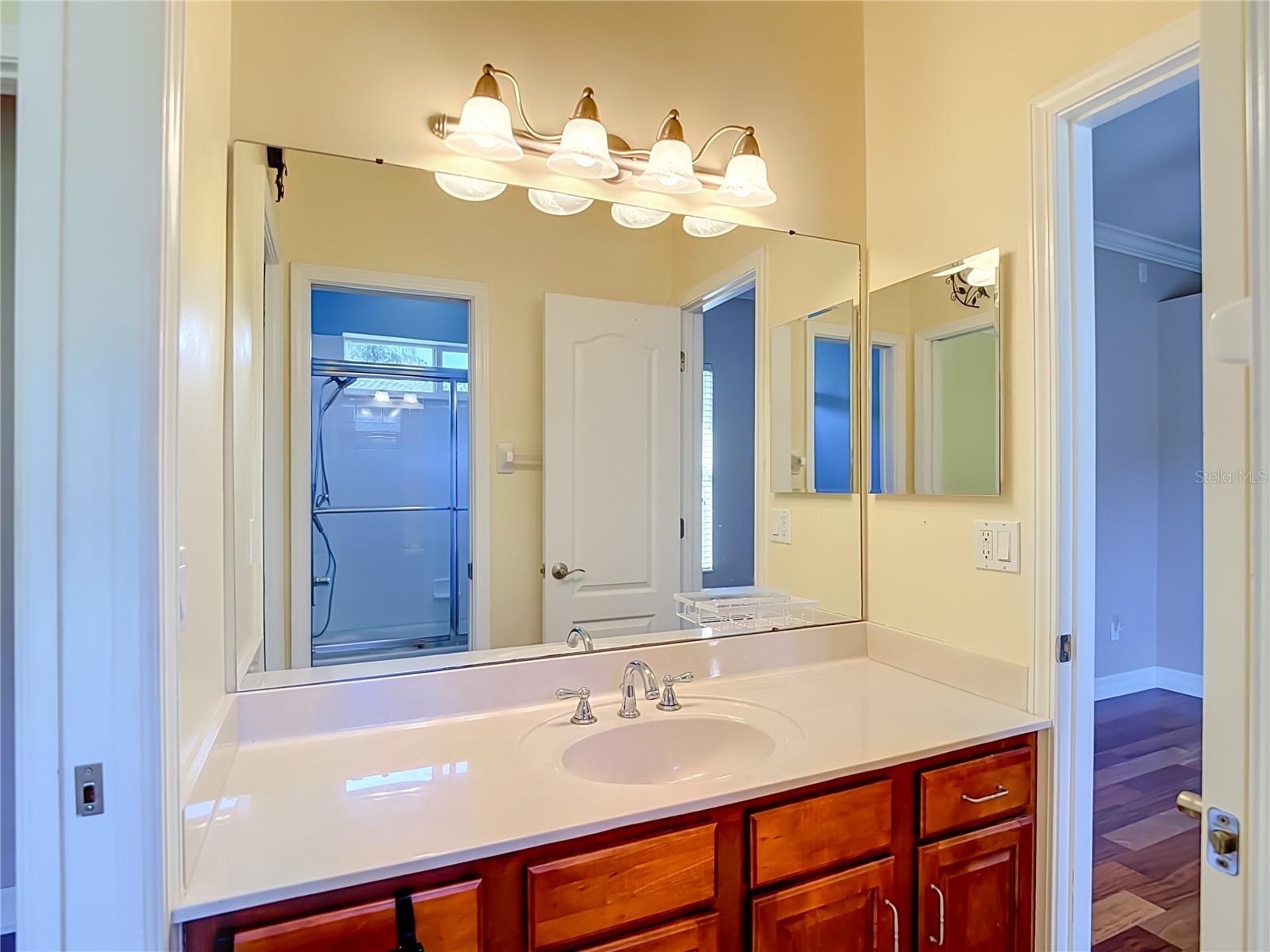 16215 IVY LAKE DR — photo 44
