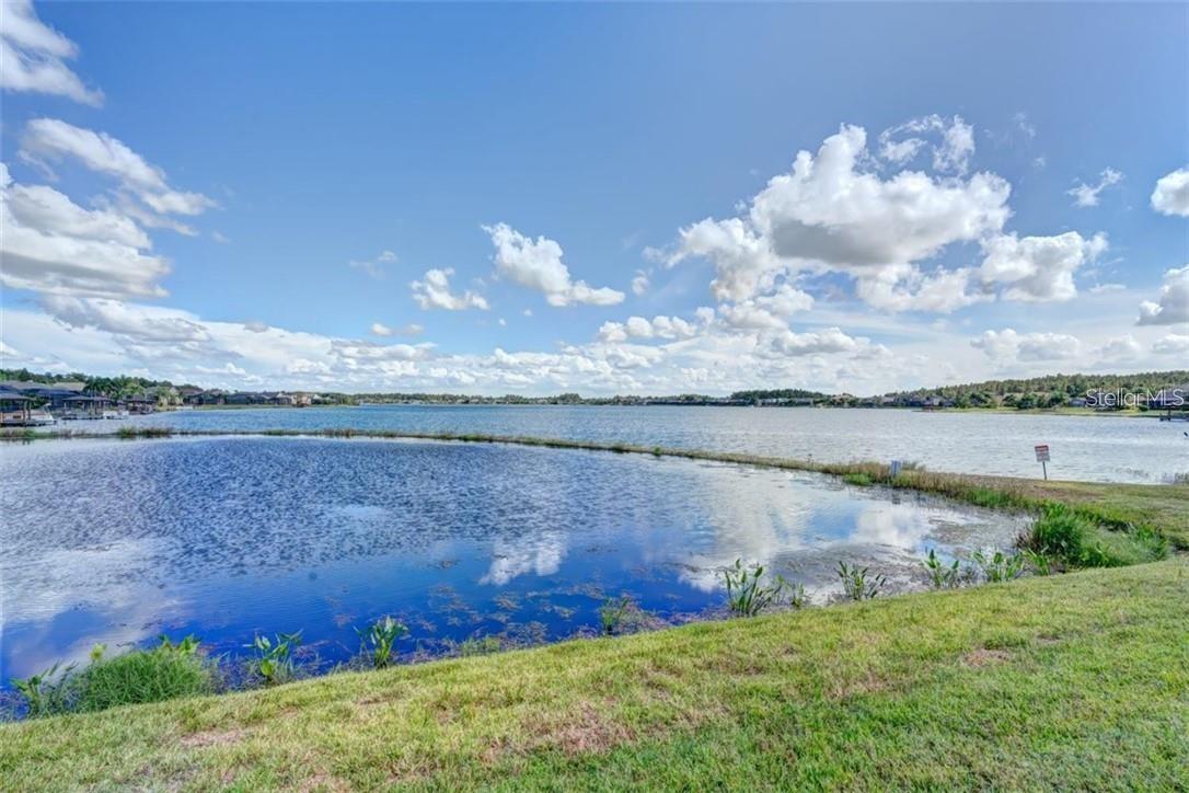 16215 IVY LAKE DR — photo 4