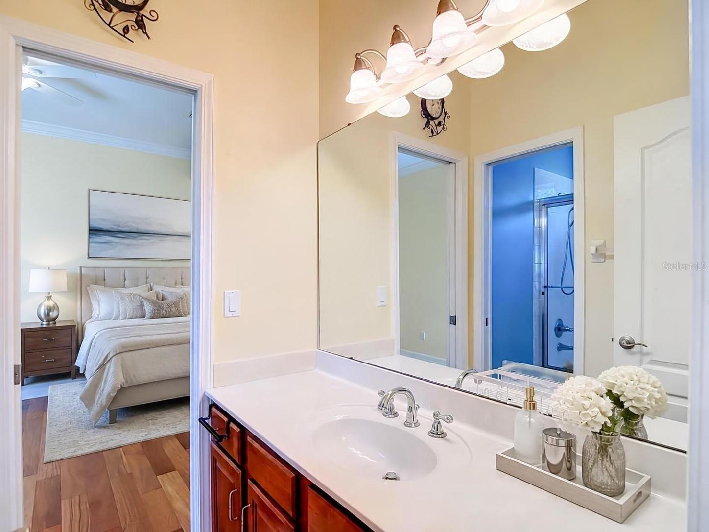 16215 IVY LAKE DR — photo 47
