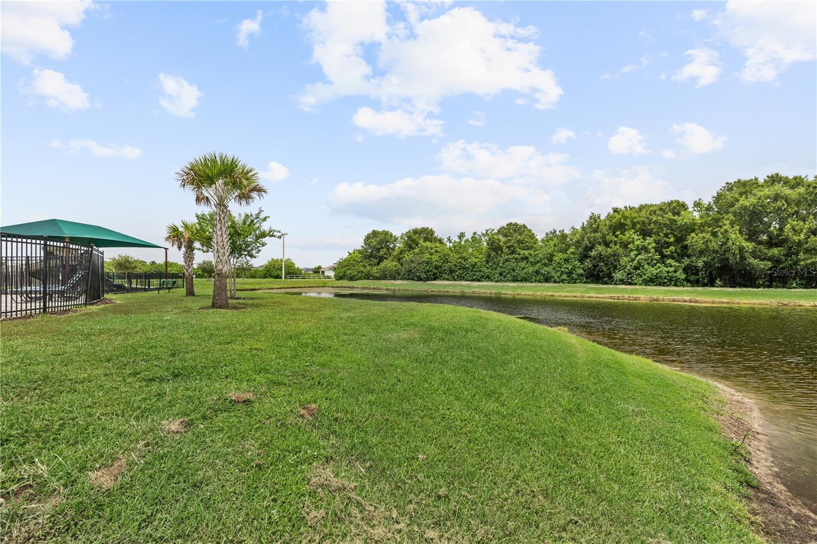 11722 WHITE WILLOW LN — photo 31
