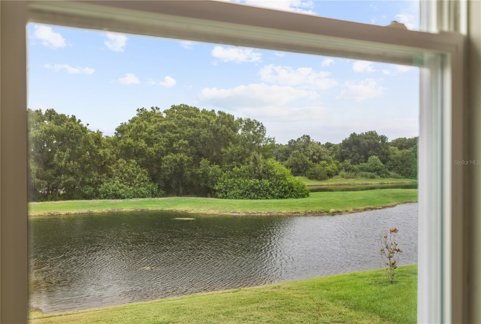 11722 WHITE WILLOW LN — photo 27