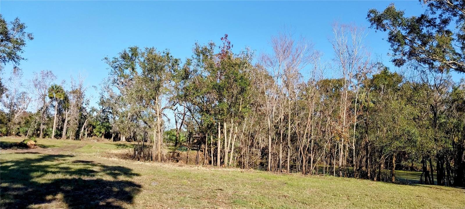 11105 WINN RD — photo 11