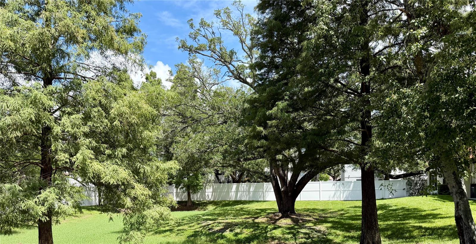 3146 BAYSHORE OAKS DR — photo 16