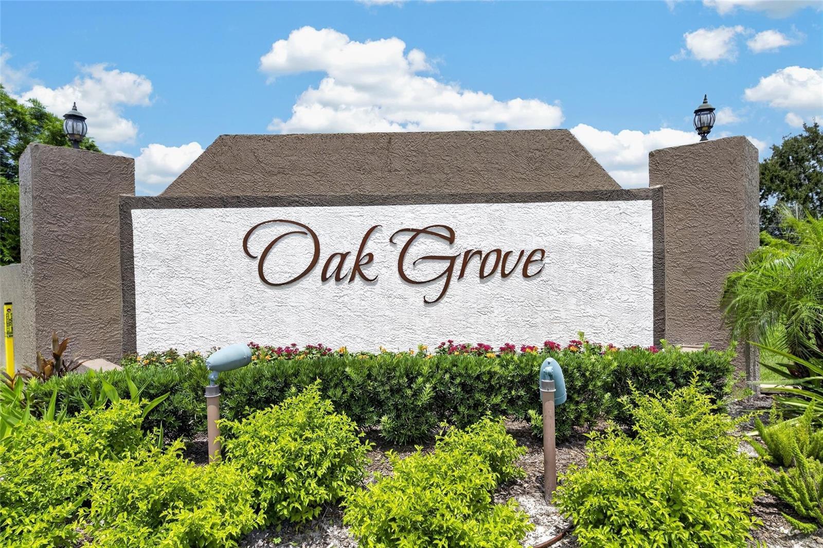 24519 BREEZY OAK CT — photo 63